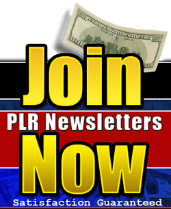 Niche PLR Newsletter pack for your newsletter